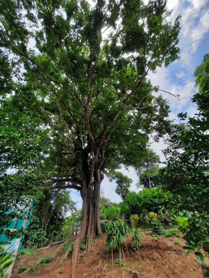 Eco-Turismo Guayacanes Sámara 外观 照片