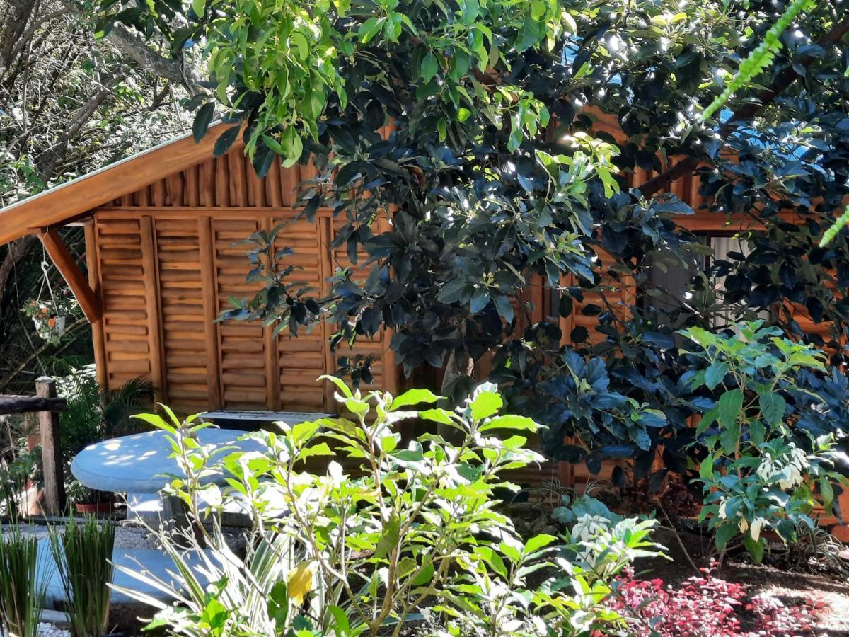 Eco-Turismo Guayacanes Sámara 外观 照片